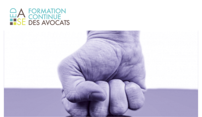Avocate formatrice des Avocats le 18/09/2020 sur les violences intrafamiliales